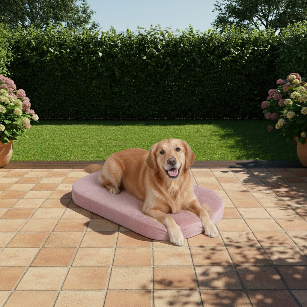 Outdoor Ovales Rundes Hundekissen nach Maß